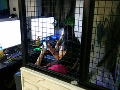 -青春飞扬网咖(剪刀石头布店)