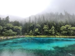 -西姆山居酒店(九寨沟沟口店)