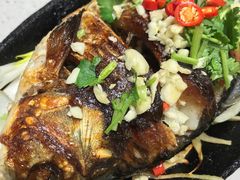 -万鑫鸡翅