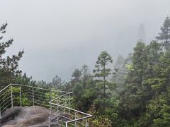 -玉苍山国家森林公园