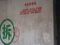 -长洲渡车船码头