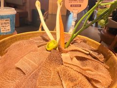 -巴奴毛肚火锅(七宝领展广场店)