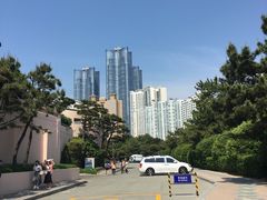 -海云台海滩
