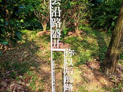 -云溪植物园