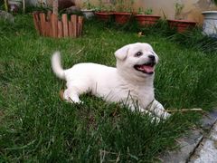 -龙湖东院农庄(乡间小路店)