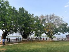 -西昌邛海宾馆