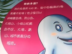 -琴岛之星摩天轮