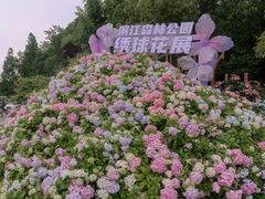 -上海滨江森林公园