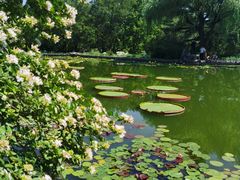 -国家植物园南园