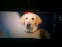 -星河国际影城(新会店)