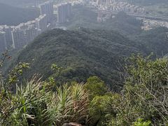 -梧桐山风景名胜区