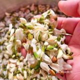 品品五月的槐花香