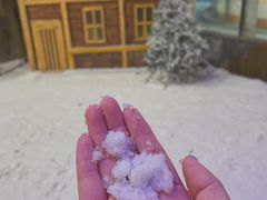 -世界之窗阿尔卑斯冰雪世界