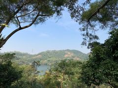 -深圳仙湖植物园