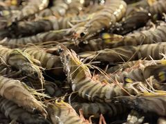 -中国舟山国际水产城