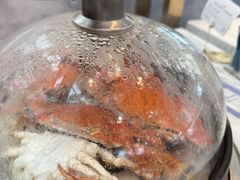 -半岛听涛蒸汽海鲜自助(K11店)