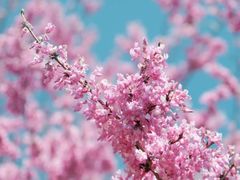 -天台山赤城山景区