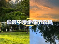 -重庆彩云湖湿地公园