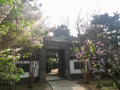 -北京植物园-展览温室