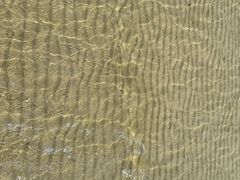 -北海金海湾红树林生态旅游区