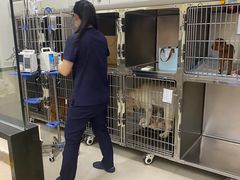 -爱妮康宠物医院·干细胞免疫细胞·肿瘤·心脏(张江店)