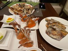 -舟山希尔顿酒店·開自助餐厅
