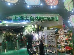 -上海大自然野生昆虫馆(东方明珠·爬宠昆虫探索中心)