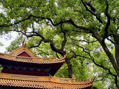 -普陀山风景名胜区-法雨禅寺