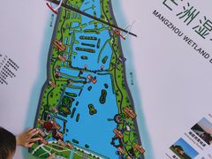 -芒洲湿地公园