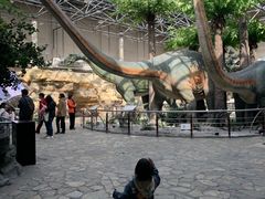 -国家自然博物馆