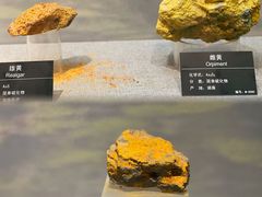 -甘肃地质博物馆