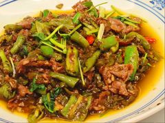 烧海椒炒鲜切吊龙-眉州东坡·熊猫主题餐厅(枫蓝店)