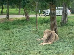 -秦皇岛野生动物园