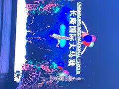 -广州长隆国际大马戏