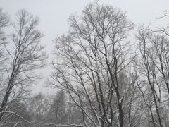 -中旅松花湖滑雪场