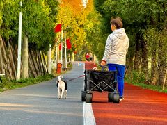 -上海长兴岛郊野公园