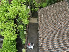 -巴倒烫陆派火锅山庄(南山总店)
