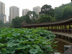 -龙头寺公园