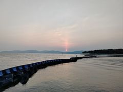 -上海市保健医疗中心