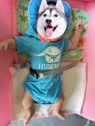 -小蓝象(五角场万达店)