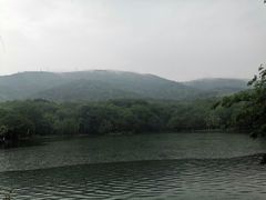 -紫霞湖公园