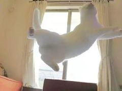 -人民防洪胜利纪念塔