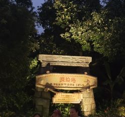 -翱翔飞越地平线