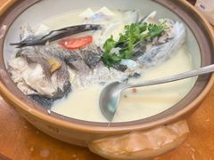 -全乐鱼馆·淳牌有机鱼直营店