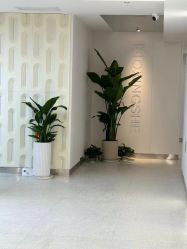 -魔型社烫染店