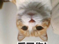 -万达影城(银兴菲林店)