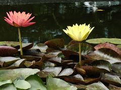 -国家植物园南园