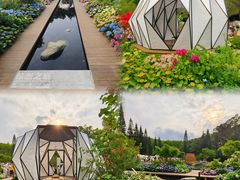 -深圳市中科院仙湖植物园