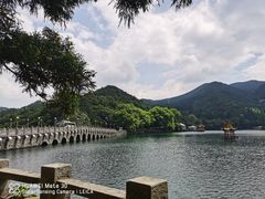 -庐山恋影院(河西路店)