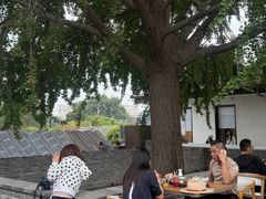 -自如ZSPACE四合院艺术餐厅